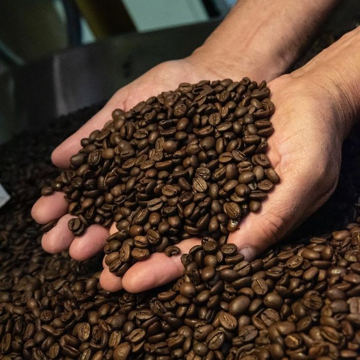 Hand vol vers gebrande koffiebonen